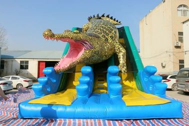 China Duurzame Reusachtige Opblaasbare de Krokodil Dubbele Dia Eco van de Diakoning - Vriendschappelijke wss-259 fabriek